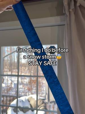 Preparing for the 2025 Snow Storm #snowstorm #snowstorm2025 #safety #safetyfirst #weather #safetytips #snow 