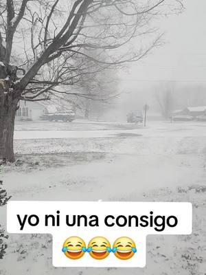 #nieve #frio #nevada #salado#viraltiktok #paratii #viralvideo 