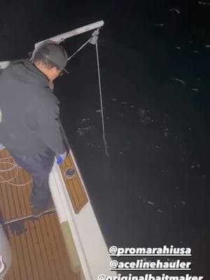 Ambush hoop nets full of Lobsters is all we dream about! 🦞 🎥: @wetwillyfishing #lobsters #lobsterfishing #fishing #sportfishing