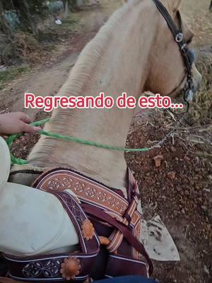 #caballos #jalisco #ojitosdemiel #deregresoalarealidad 