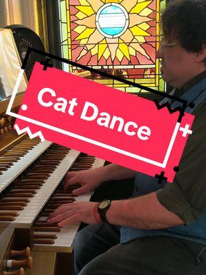 Replying to @voidscreamer2319 #Catdance #Cat #EverybodyEverybody #OrganistOfTikTok #Organist #pipeorgantiktok #PipeOrgan #Chilltok 