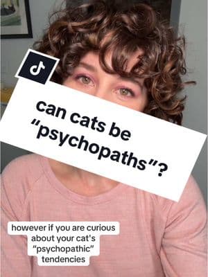 can cats have psychopathic tendencies? 🤔 let’s critique the science behind one study making that claim #catsoftiktok #cats #science #fyp #catbehavior #crazycat #catmom #catlife 