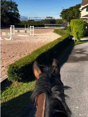 This place is literally a fairytale #horsegirl #equestriansport #equestriansoftiktok #equestrianlife #equestrianvibes #horselife #wef2025 #wellingtonfl 