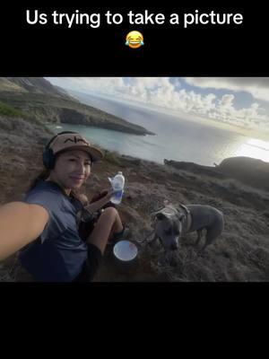 Lolol she’s my bestie #pitbullsoftiktok #staffy #indigenous #nativetok #Hiking #islanddog #fyp 