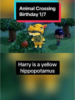 In Animal Crossing on January 7th, it’s Harry’s birthday! Happy birthday Harry! #animalcrossing #animalcrossingnewhorizons #animalcrossingswitch #switch #nintendo #nintendoswitch #switch2 #animalcrossingbirthday #January7th #January7 #Harry #animalcrossingHarry #Harryanimalcrossing #acHarry #Harryac #funfacts #didyouknow #animalfunfacts #hippopotamus #hippo #hippos #cute #cuteanimals #gaming #GamingOnTikTok #gamingonyoutube #birthday #happybirthday #cozygames #cozygaming #cozygamer