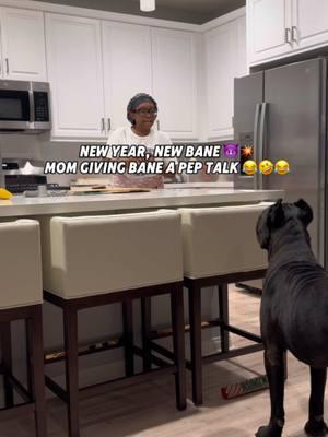 Mom@Getting Bane hype for the New Year! 😂 VoteForBANE ..  Vote Here 👉🏾 : https://americasfavpet.com/2025/bane-43e2  #raisingbane #banethedog #funnydogvideos #americasfavoritepet 