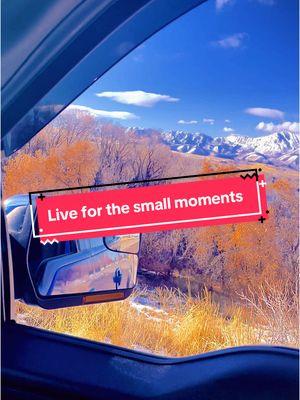 POV: When you really know you’re living. #utahviews #itsthelittlethings #mountains #mountainview #utahcheck #getoutsidemore #dailyreminder #goforadriveinyourtruck #takethedirtroad #illtakethedirtroad #churchofparkandrecreation 