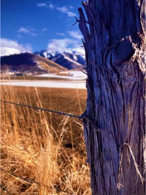 Can you feel it? #godscountry #Outdoors #illtakethedirtroad #goforaride #freshairtherapy #takeadriveinmytruck #utahcheck #utahviews #januaryvibe #2025vibe #thisismytherapy #churchofparkandrecreation 