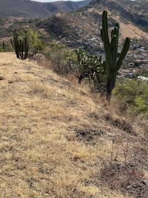 Una hermosa vista, así es como luce mi pueblo desde arriba las montañas ❤️#fyppppppppppppppppppppppp #paratii #paratiiiiiiiiiiiiiiiiiiiiiiiiiiiiiii #paratiiii #fyp #fypシ #mexico #oaxaca #mixteca #region #paraustedes #pueblo #2025 #paisajes #vi #montaña #paratiiiii 