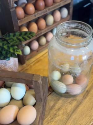 Some of my most asked questions when teaching how to water glass eggs! Tell me below if you have questions I didn’t cover in this video! #homestead #homesteading #homesteadinglife #homesteader #homesteadingskills #homesteadlife #waterglassingeggs #waterglass #eggpreservation #preservingeggs #foodpreservation #preservingfood #preservingtheharvest #prepperfoodstorage #prepperpantry 