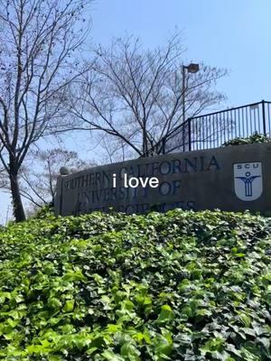 Where passion meets purpose! Every step of the journey at SCU has reminded us why we love what we do and why this career feels like a calling. Here’s to healing, growth, and making a difference one adjustment at a time! #WeAreSCU #GoBeyond