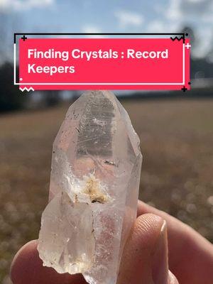 #findingcrystals #tips #recordkeeper #crystals #crystalcowboy1976 #beforeandafter #crystaltok #crystalsoftiktok #2025 #1mlikes #arkansas #natural #ouachitanationalforest #caddowomblerangerdistrict #DIY #fun #godscountry #godblessyou 