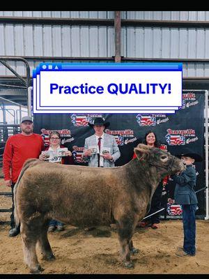 practicing habits with your livestock project 👊🏽 #HereWeGo #HeyYall #ShowSteersOfTikTok #FarmTok #FluffyCows #CattleHair #CowsOfTikTok #FWSSR #HLSR #ForYou #fyp #wwrshowteam #tutorial #tip #trick #showanimals #ShowSteer #showheifer #ShowCattle #ffa #showpig #4h #agteacher #showgoat #showlambs #ViralToday #fypシ゚viral #TxMajors2K25 #Crosby #CrosbyTX Show Steer Show Steers Show Cattle 