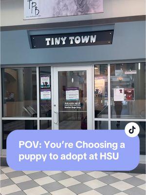 And just to think– this POV could easily be your reality! 🤯 We have puppies available for adoption! Check them out at the link in our bio 💜 #fyp #humanesocietyofutah #adoptablepuppies #puppiesoftiktok #puppiesofutah #adopt #adoptme #adoptus #cute #pov 