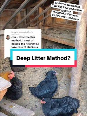 We’ve been using the deep lit method for years! I will say,  doing the full clean out is a pain in the butt! But the option to not have to do daily cleanups is absolutely fantastic  #chickens #deeplittermethod #chickencoop #rawmilk #farmtotable #homestead #homesteading #farmlife #flock #egglayers #chickentok 