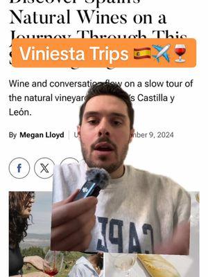 Viniesta Trips is a great option if you’re looking for some wine tourism this year. Link for the 2025 trips is in our bio 🇪🇸🍷 Believe they’re also doing a 20% promo in the month of January so definitely book if you’re interested 🤙🥂#winetok #wine #naturalwine #naturalwinetok #spain #winetour #foodandwine  