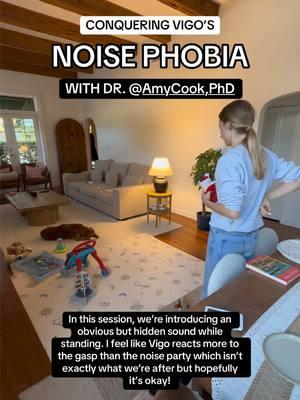 Onto our next piece of homework from Dr. @Amy Cook, PhD ! Working on hidden, obvious noises from a standing position. I think Vigo did great here! Can’t wait to hear Dr. Cook’s feedback.  PS: make sure you’re following Dr Cook for more on her protocols & to see her critiquing our work! #DogTraining #dogtrainer #dogtrainingtips #dogmomaf #scareddog #truckphobia #fearfuldog #ducktoller 