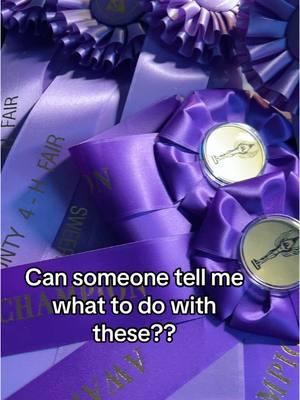 What do you guys do with all your fair ribbons? #fair #countyfair #openclass 