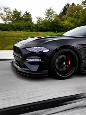 Rolling through the week #mustanggt #fyp #carpeople #v8power #virallilll #mustang #v8 #quotes #cars #cartok #fy #10speedmustang #viral #virall #mustanggt350 #paratiiiiiiiiiiiiiiiiiiiiiiiiiiiiiii 