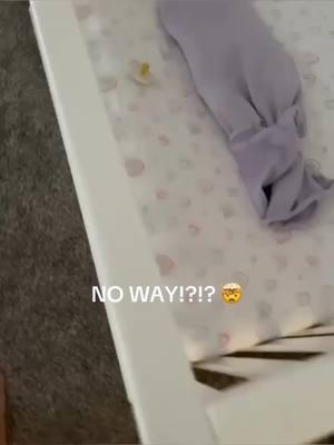 Big surprises come in the tiniest packages! 🤯👶 Watch as this little one, wrapped snugly in her Ollie® Swaddle, shocks her parents with the cutest ‘Hi’ from her crib. Proof that magical moments happen when you least expect them! 💕 #TinyBabyBigSurprise #OllieSwaddle” @mrsstacieelizabeth #theollieworld⁠ #theollieswaddle  #ollieswaddle #ollieworld #safesleep #swaddle #howtoswaddle #newmom #momtobe  #pregnancy #pregnant #newbaby #fourthtrimester #firstimemom #sleep #mom #baby #motherhood #babygift #babyshower #momlife  ⁠#Later 