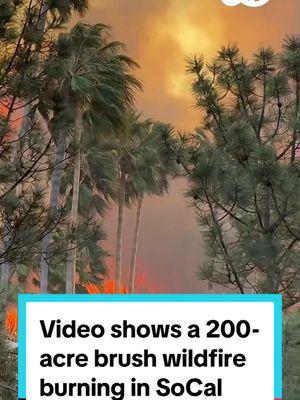 Video shows a 200-acre brush wildfire burning in Pacific Palisades in SoCal as it threatens thousands of structures, prompting an evacuation order. This comes as a powerful windstorm batters the region. #fyp #foryoupage #wildfire #pacificpalisades #breakingnews #weather #california #socal #southerncalifornia #abc7news