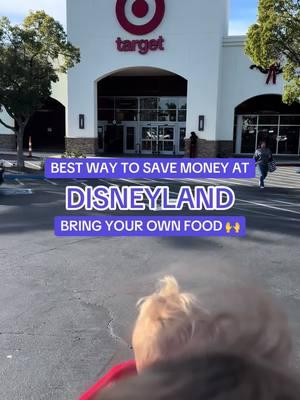 We splurged on the SoCal ticket deal for Disneyland again this year. Besides admission, food and beverage is definitely the biggest expense for our family of 5, so instead of buying everything in the park, here’s what we’re packing with us. 🥪🍓 #savingmoney #disneyonadime #disneyonabudget #disneyland #moneysavingtips #vacationsavings