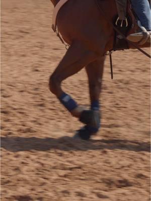 The perfect #TackTuesday fit doesn't exi—oh wait... 👀 🔹 2XCool Cinch 🔹 Cowboy Felt Air Ride Saddle Pad - Felt Bottom 🔹 Pro Performance Hybrid Splint Boot 🔹 Ballistic Overreach Boots 🔹 Contoured Rough-Out Breast Collar #ProfessionalsChoice #ProfChoice #Equestrian #HorseCare #Rodeo #Horse 