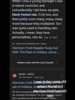 I was today years old whe. I found out Harrison Ford had pet rats lol #ChaosPotatoes #serotoninpotato#serotoninpotatos#rats#rat#petrat#petrats#ratmom#ratmama#ratparent#ratcommunity#mouse#mice#mousecommunity#petmouse#petmice