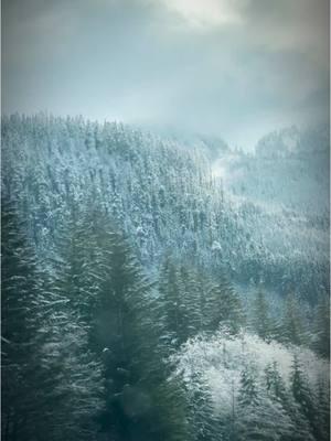 Nothing like some PNW views on the way to visit her 🖤♣️#CapCut #pnw #washingtonstate #snoqualmiepass #snoqualmie #wlw #lgbt #lgbtq🏳️‍🌈 #lesbiansoftiktok #lesbiansoftiktok #lesbiansoftiktokover30 #wlwcouple #littlefrosty #always #lesbiansover30 #myentireworld #mybestfriend #pacificnorthwest 