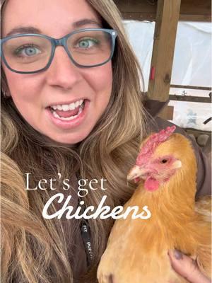 Are you getting chickens this year?!  #chickens #chickenkeeping #chickenkeeper #chicken #purelychickens 