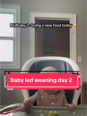 I couldn’t help myself 😩 this is so fun! I highly recommend @SolidStarts app for BLW. It’s been super helpful as a first time mom 🤩 #blw #babyledweaning #babyledweaningideas #babyledweaningmeals #firsttimemom #startingsolids #babypurees 