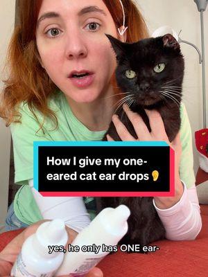 Replying to @Erin Cunningham I wish having a cat with one ear saved me $$$ on ear infection medication, but alas… 😹 w/ @Kat Curtis  #c#catsb#blackcatse#earinfectionse#eardropsf#funnycatsc#cutecatsf#friendlycatsneeareduno 