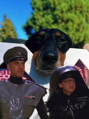 He’s the cutest asshole I know tho #fyp #MemeCut #memenatal #Meme #dog #dogsoftiktok #dachshund #spaceballs 