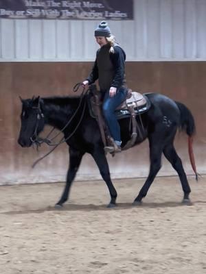 Reba is doing soo well with her training 😍🔥 @emilie_bro$e #maresoftiktok #foryoupage #applythemethod #coltstarting #marepower #hancockhorses 