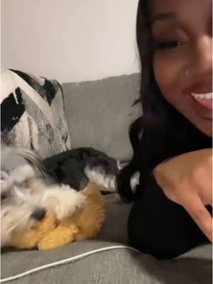 Meanwhile this 🥷🏾 putting his hands on me 😭 #itstrinbean #morkiesoftiktok #puppymom #puppy 