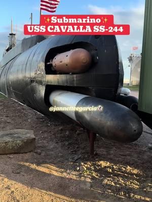 ENJOY THE TOUR !! ✨ #Submarino #submarine #museum #usscavalla #SS244 #fyp #edit #edits #4you #usscavallamuseum #foryoupage #museo #museosubmarino #fypシ #seawolfpark #seawolf #park #f #tours #enjoy #Galveston #Texas #fypシ #go #viralvideo #videostar #goviral #family #familytime #yea #museos #fy #galvestontx #god #submarinefamily #guerramundial #2daguerramundial #guerrafria #pearlharbor #pasado #paranormal #ghostmode #miedo #urbex #buque #buquedeguerra #EU #Mx #latina #tour #history #historias #paranormalvideos #historia #yes #relatos #travel #traveltiktok #visita  #hispanos #conoce #typ #vacation #usa #tiktokviral #place #barco #miedo #pesca #buceo #team #pescadores #hauntedtiktok #satx #island #MX #teamwork #Austin #houstontexas #contenido #content #hauntedplaces #explore #haunted #hauntedtiktok #haunted #paratii #viraltiktok #lugaresparavisitar  #galvestonisland #pecan #seawolf #ussselma #Selma #barcohundido #galvestonbeach #beach #htx #regia #paratipage #foryourpage #guerramundial #hormigon #fypage #explorar #explora #houston #goviraltiktok  