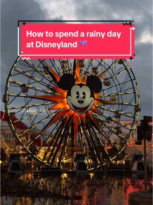 Don’t let a little precipitation rain on your parade at Disneyland’s California Adventure Park! 🎡 From animation experiences to indoor rides, try these fun activities to escape storms at The Happiest Place on Earth. ☂️ 📍 @Disney Parks, @Visit Anaheim  📷 @Alanna | Travel Pro 🧳  #VisitCalifornia #Anaheim #Disneyland #CaliforniaAdventure #ThemeParks #AmusementParks #RainyDay #ThingsToDo #FamilyFun #California #SoCal #SouthernCalifornia #FamilyTime