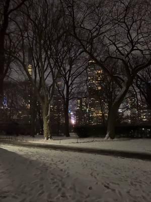 #LIVEhighlights #TikTokLIVE #LIVE #josecitony #joselitotiktok7 #invierno2025🥶 #snow #parque #hola 