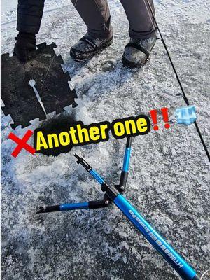 ❌Another one‼️🧊🎣 🎥Video Credit: @Brian Clemen   #teamht #fishing #water #hardwater #ht #fishin #letsgofishing #fishin #fishon #hookedup #Outdoors #montana #icefish #icefishing #fish #htenterprises #htice #htent #icerigger #perch #perchfishing #strikerpro