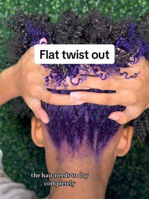 Flat twist out on purple color transformation #tiktokpartner #naturalhair #naturalhairtiktok #hairtransformation #hairtok #hairtiktok #twistout #colortransformation #purplehair #curlyhairroutine #curlyhairtutorial 