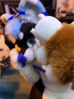 That one fursuiter at cons- 🤢 jk @Reverb Husky ILY  . . Our suits were made by Multicolorbark and Lemonbrat! #furryfandom #furrytiktok #asexualfurry #multicolorbark #lemonbrat #furry 