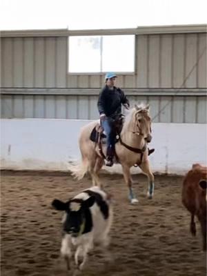 The baby moments happen. But when they put it all together, it is so worth it. It’s worth every second, minute, hour etc of time put in. I absolutely loved this horse so much. #foryou #fyp #foryoupage #aqha #horsesoftiktok #lovemyhorse #quarterhorse #yellowhorse #babyhorse 