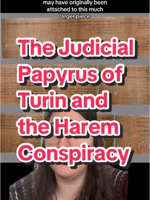 Replying to @DonnaLibra⚖️ Honestly I think the history of the papyrus itself is just as interesting as what’s written on it! #melissaindenile #fyp #fypシ #creatorsearchinsights #foryourpage #egypt #egyptian #ancientegyptians #ancientegypt #egyptology #egyptologylovers #askanegyptologist #haremconspiracy #judicialpapyrusofturin #turin #turinegyptianmuseum #egyptianmuseumturin #museoegizio #museoegiziotorino #greenscreen 