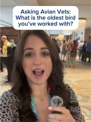 Asking Avian Vets: What is the oldest bird they’ve worked with? 🪿 Has anyone seen any older parrots?🦜 #bird #birds #parrot #parrots #duck #eagle #zoo #exotics #wildlife #rescue #conservation #animals #pets #nature #vet #vetmed #veterinarian #veterinary #medicine #veterinarymedicine #veterinaria #medical #doctor #premed #prevet #vettech 