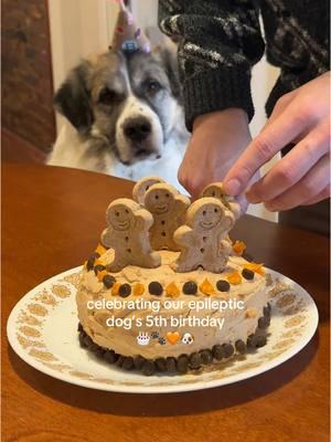 We didn’t know if he was going to make it to 5, so we celebrated big time. 🧡🎂 #dogs #dogbirthday #dogcake #epilepsydog #epilepticdog #greatpyrenees 