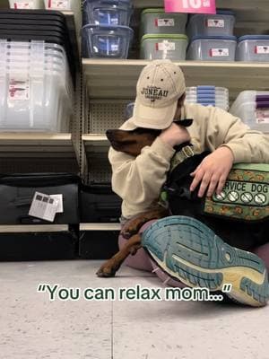 Dare I say DPT is one of her most useful tasks.  Not only does it help when I’m anxious or panicking but it also helps lower my heart rate when I have a POTS episode.   On another note. Any other epic fans out there?  #willowtheservicedobie #doberman #dobermans_of_tiktok #servicedog #epicthemusical 