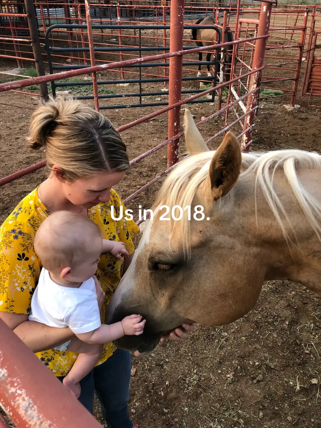 It all started back in 2018 when we moved to the ranch and Bug was purchased to be my ranch horse. Now he’s so much more. He’s my confident, trusted partner, and best horse ever. #goodhorse 