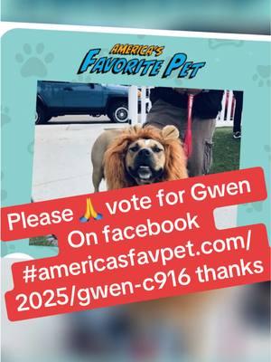 Please vote Gwen on Facebook #americasfavpet.com/2025/gwen-c916 thanks 🙏 a lot #fyp #viralvideo #foryoupage #usatiktok #viralvideo #dog #dogoftiktok #funnydog #doglover #TikToktrend #skaterdog 