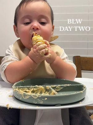 Day Two of BLW & Gym Update: Dinner Edition! #momlife #mom #momsoftikok #dinnertime #blwideas #blw #toddleroftiktok #2years #momof2 #baby #7months #sahm #sahmlife #sahmsoftiktok 