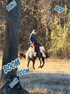 For the first time ever, Odie decided to show his pitiful version of the classic “Hancock break in half” 😭 #fyp#foryoupage#foryou#horse#horses#aqha#hancockhorses#hancock#blueroan#equestrian#western#horsegirl#fail#funny#westernhorse#quarterhorse 